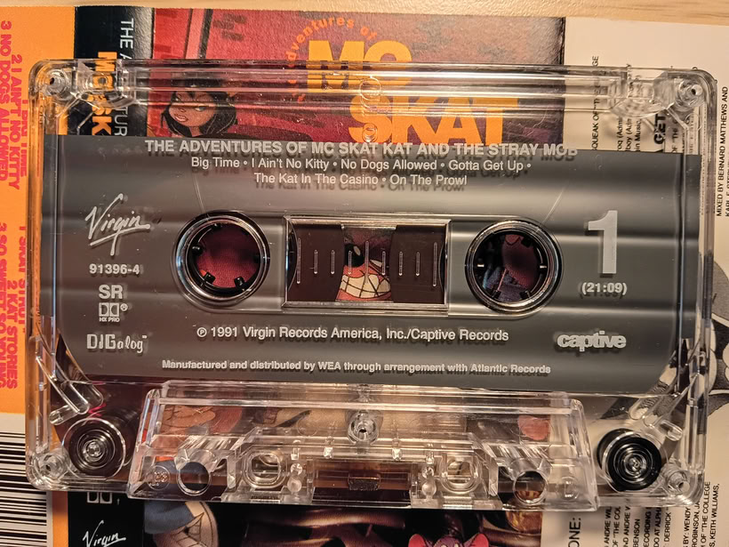 The Adventures of MC Skat Kat and the Stray Mob